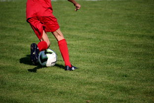 爱游戏官网入口 -德约科维奇在切尔西比赛中爆冷，挺进下一轮引发热议！